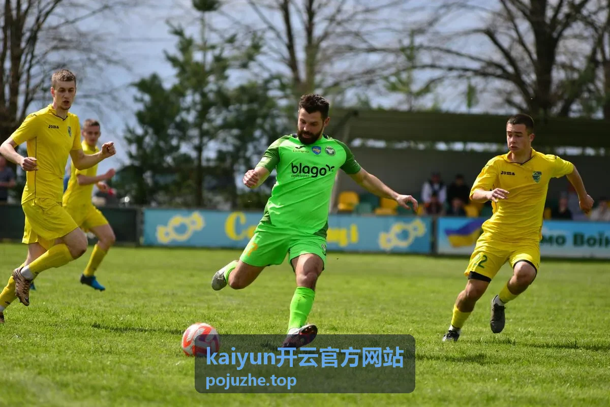 kaiyun开云官方网站服务分区与内容导览图